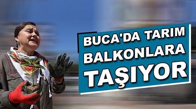 Buca’da tarım balkonlara taşıyor