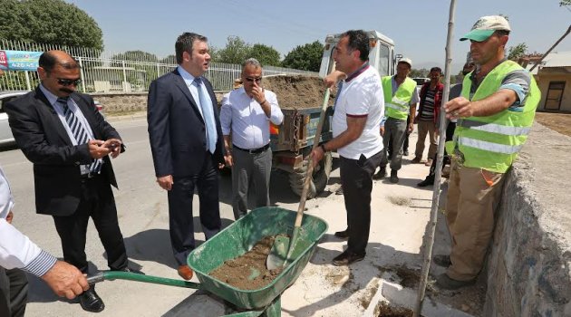 Buca’da yeşil uyanış, hedef: 3 yılda 20 bin ağaç!