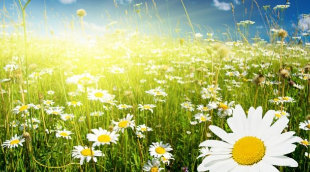 Bugün yurdun neresinde, hava kaç derece?