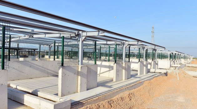 Büyükşehir'den sokak hayvanlarına yatırım