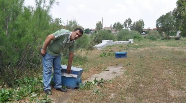 Çalınan kovanları bulana 2 bin TL ödül