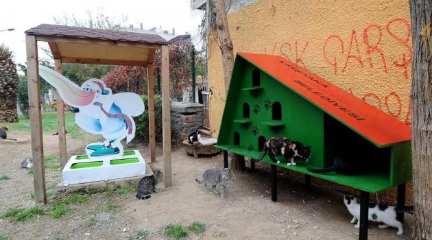 Can dostlar ‘ev’lendi