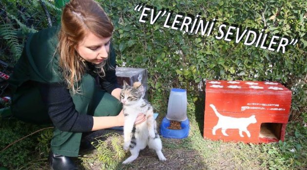 Can dostlar “ev”lerini sevdi