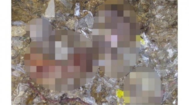 Cenin skandalına 19 bin TL ceza