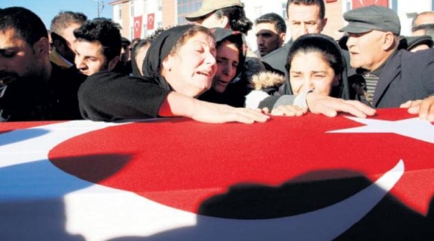 ‘Daha yaprak vermedin’