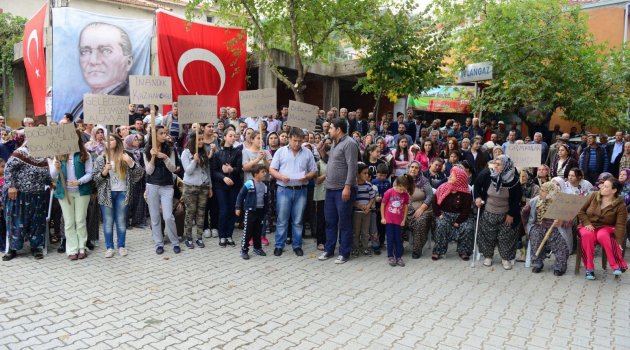 Dereköy'de, RES için ağaç katliamı tepkisi