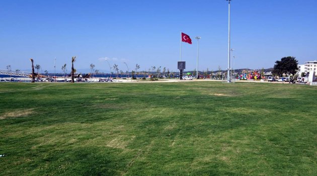 Dev ağaçlar Aliağa'nın çehresini değiştirdi