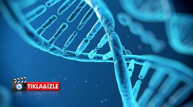 DNA'ya harddisk gibi veri yüklediler