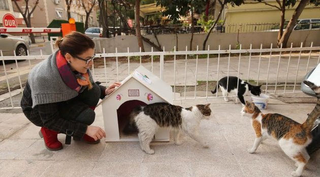 Duyarlı öğrencilerden örnek proje
