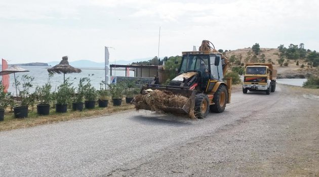 Foça yaza hazır