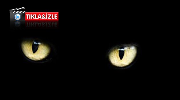 Ford'un sürücüsüz otomobilinin lazer gözleri var!