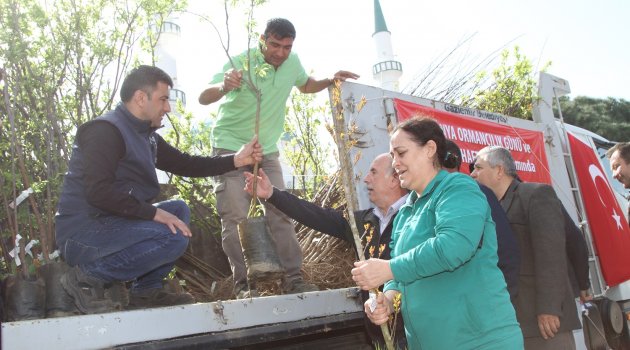 Gaziemir’de yeşil mutluluk