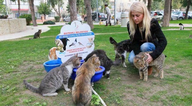 Gelin can dostlarımızı birlikte koruyalım