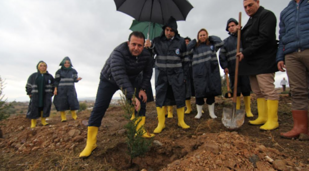 Görece Fidanlarla Süslendi