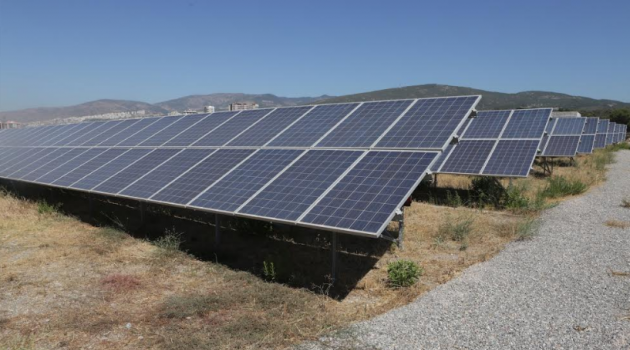 Greenpeace Bornova’yı tüm dünyaya örnek gösterdi