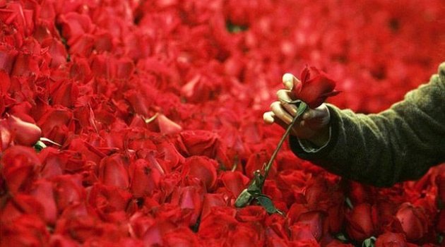 Güller on-line siparişle gitti, çiçekçiler isyanda