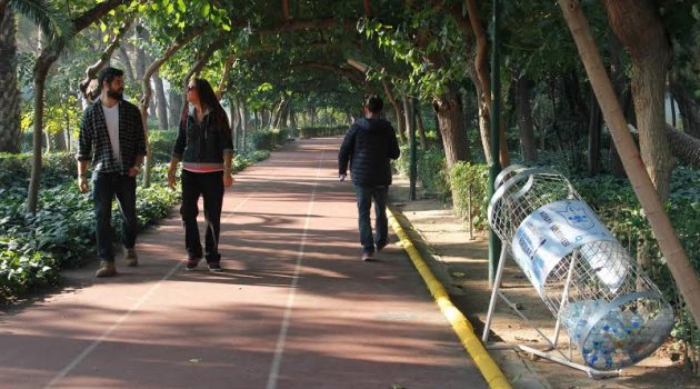 Hem çevreci hem dekoratif