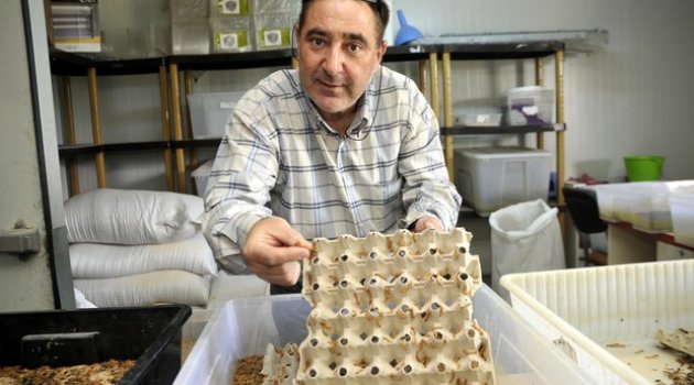 Herkes iğreniyor onlar para kazanıyor