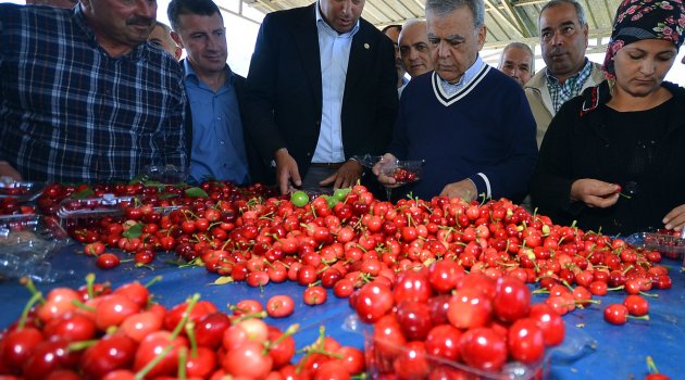 İlk hasat keyfi