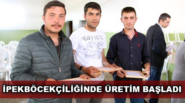 İpekböcekçiliğinde üretim başladı