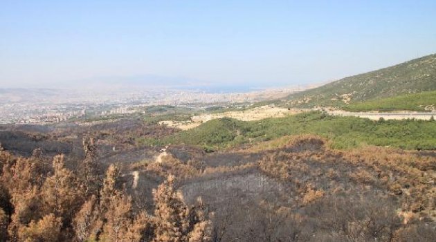 İzmir'in akciğerleri yeniden yeşerdi