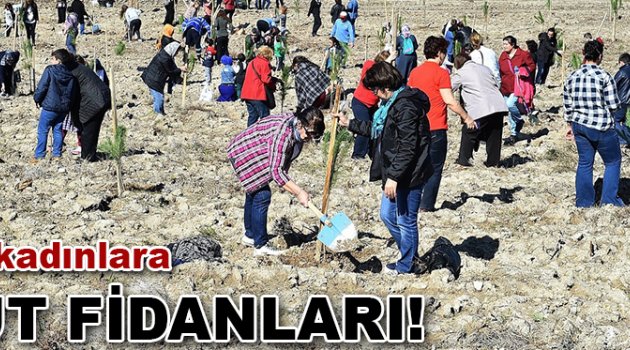 İzmirli kadınlara umut fidanları!