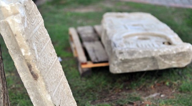 Karayolunun kenarında bulundu