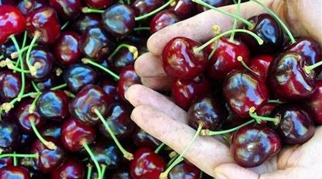Kilosu dudak uçuklattı!