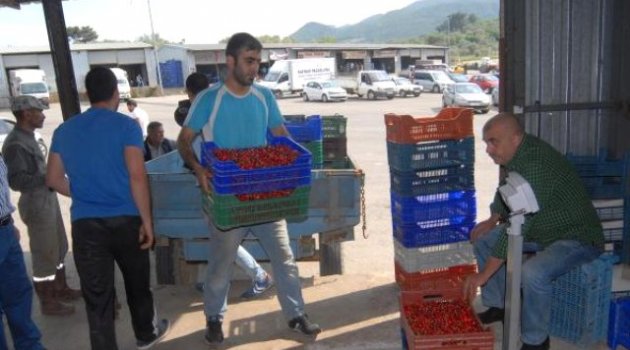 Kirazda iç piyasada sorun yok, ihracat ürününü don vurdu