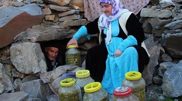 Kışlık besinler mağaralardan çıkarıldı