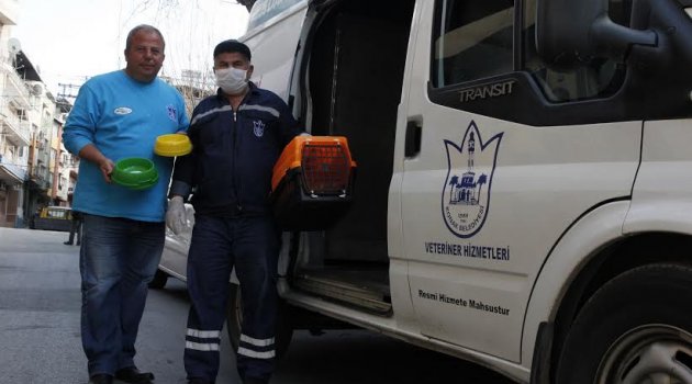 Konak’ta sevimli dostlar güvende