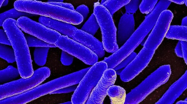 Korkutan gelişme: Doktorlar çaresiz