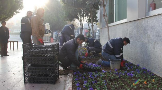 Menderes’te kışlıklar çıktı