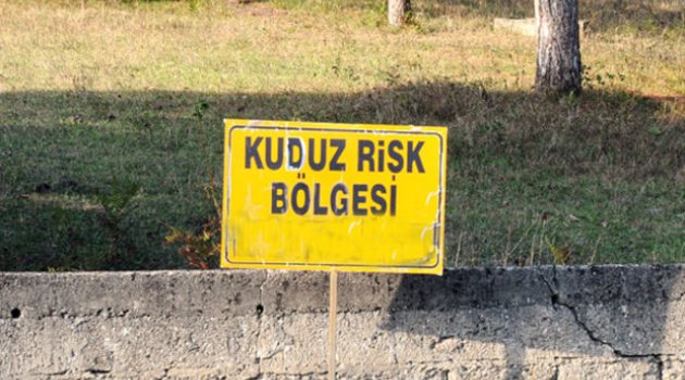 Nazilli'de kuduz karantinası