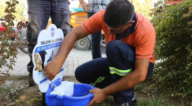 Onlarında suya ve yiyeceğe ihtiyacı var