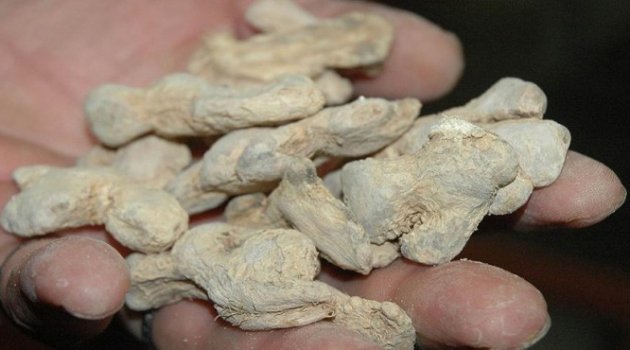 Osmanlı kokularla tedavi ediyordu