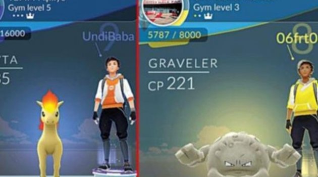 Pokemon CHP ve MHP merkezlerinde