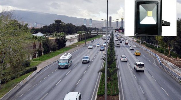Projektör fareleri yakalandı