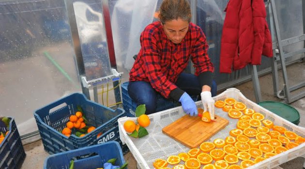 Seferihisar Mandalinası 12 Ay raflarda olacak