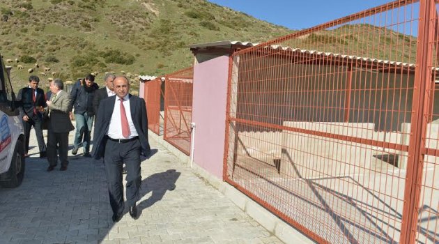 Sokak Hayvanlarına sıcak yuva