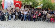 Dereköy'de, RES için ağaç katliamı tepkisi