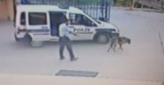 Komiser Yardımıcısı karakol bahçesinde köpek vurdu