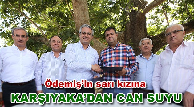 Tarlada kalan patatese Başkan Akpınar sahip çıktı