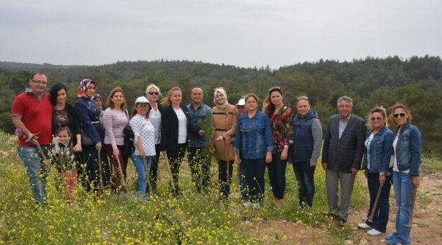 Torbalı'da ağaç seferberliği