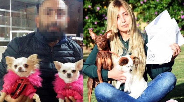 Üniversiteli kız ile köpek yetiştiricisi davalık oldu