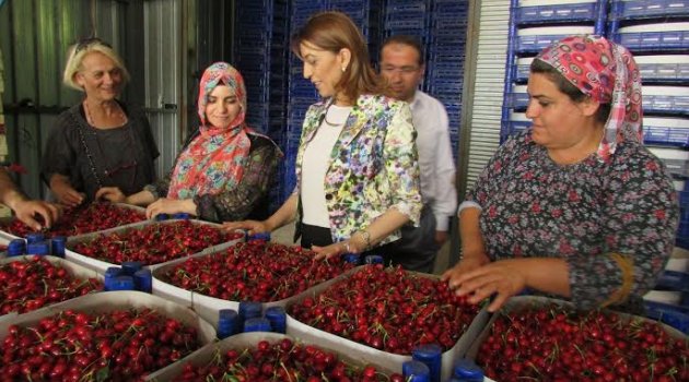 Üreticinin De Tüketicinin De Teminatı AK Parti!