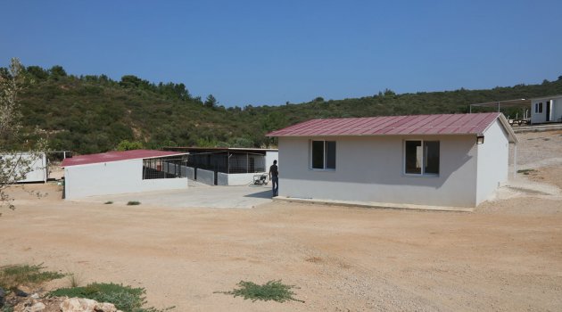 URLA BELEDİYESİ HAYVAN BARINAĞI ARTIK TAM DONANIMLI