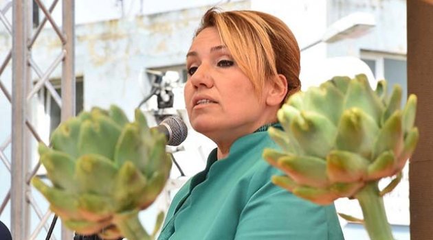 Urla'da enginar bereketi