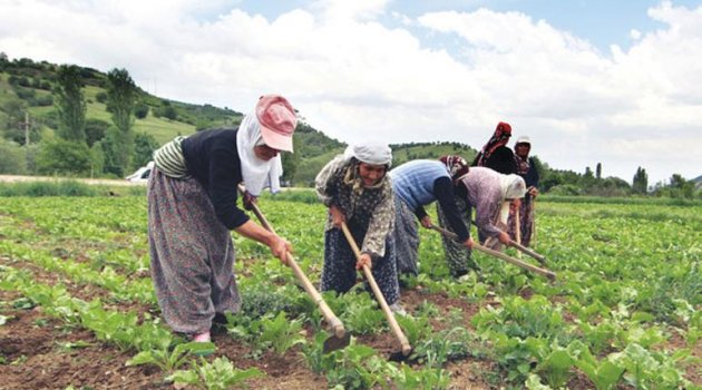 Zahirecinin sahte makbuzu Uşaklı köylüleri devletle mahkemelik yaptı